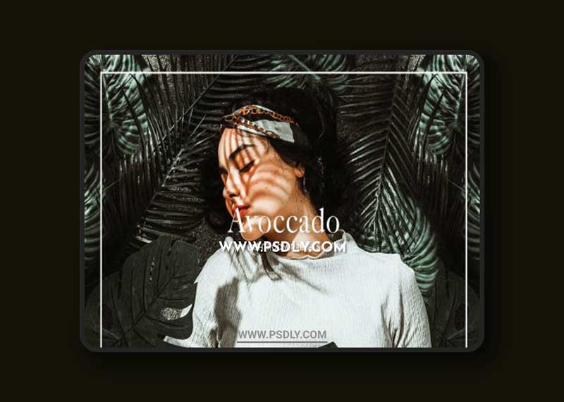 CreativeMarket - AVOCCADO LIGHTROOM PRESETS 6243280