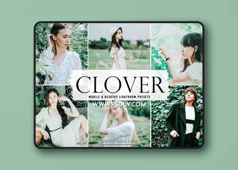 CreativeMarket - Clover Pro Lightroom Presets 6282404