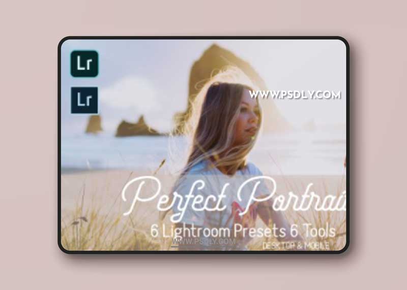 CreativeMarket - Perfect Portrait Lightroom Presets 5931457