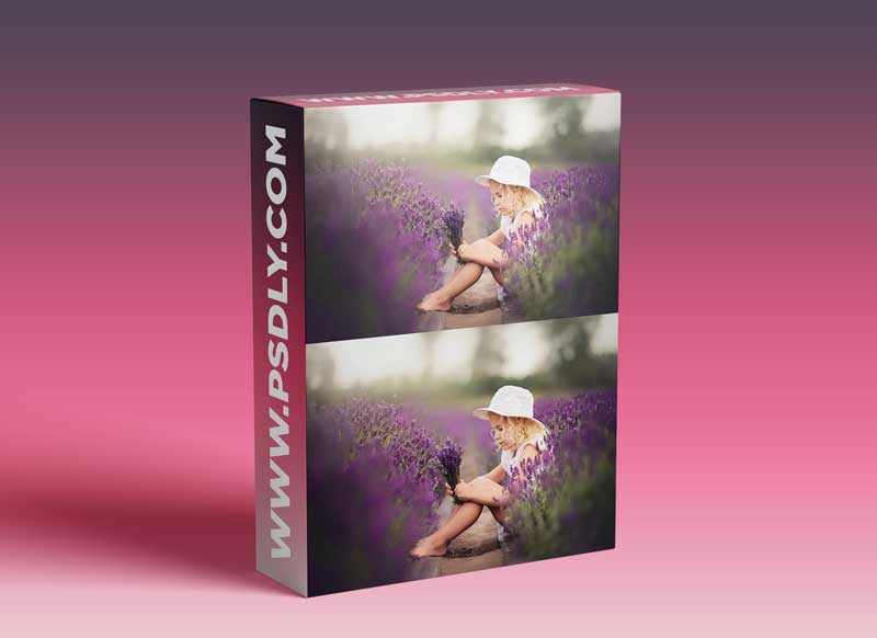 Daniel Venter Post Processing Video - Lavender