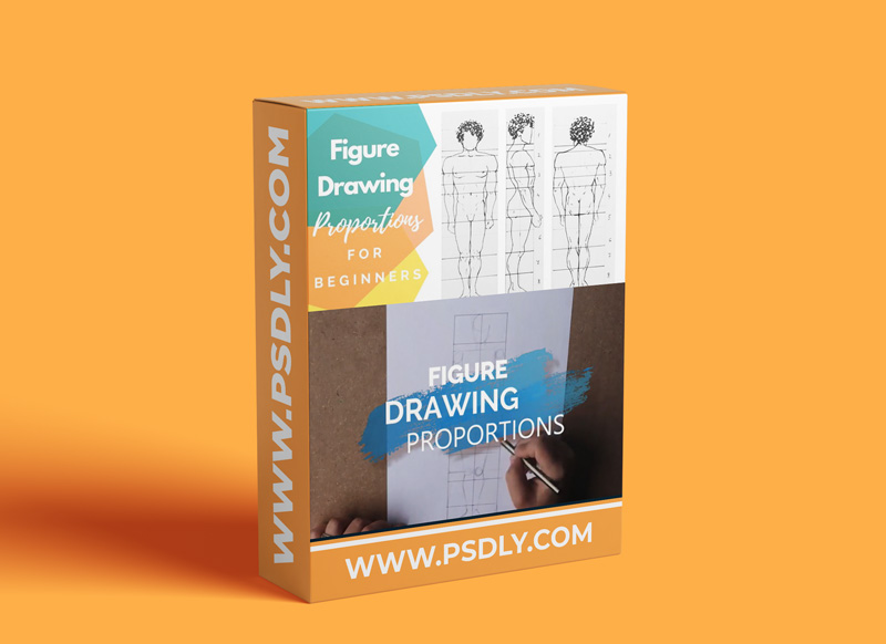 Figure Drawing Proportions for Beginners | Your Course on the First Step to Drawing Figures