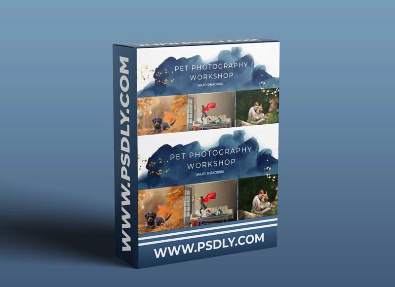 Finding North Photography - Pet Photography Workshop