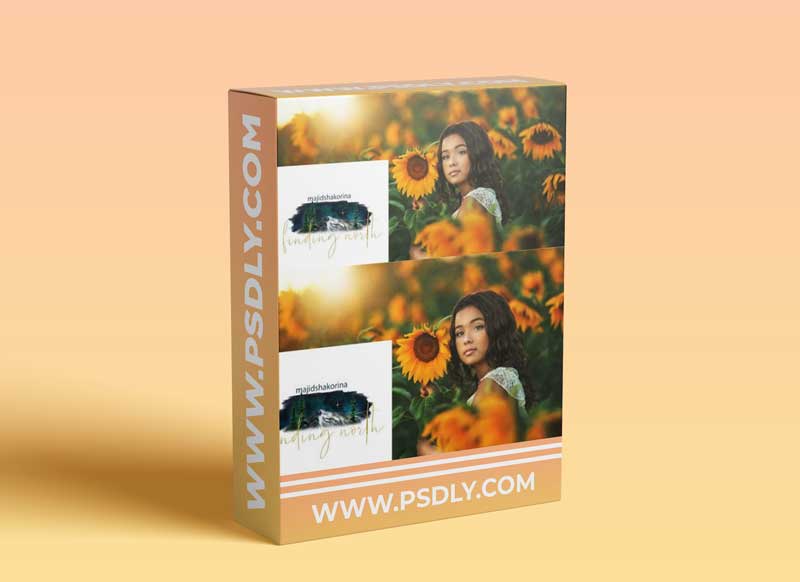 Finding North Photography - Sunflower Edit