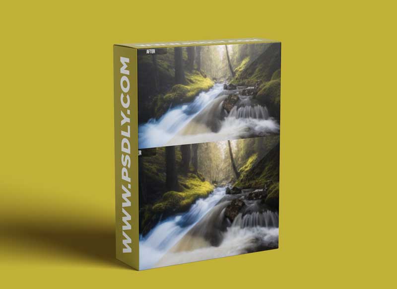 Fredik Stromme - The Fairy Tale Forest