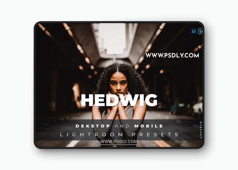 Hedwig Desktop and Mobile Lightroom Preset