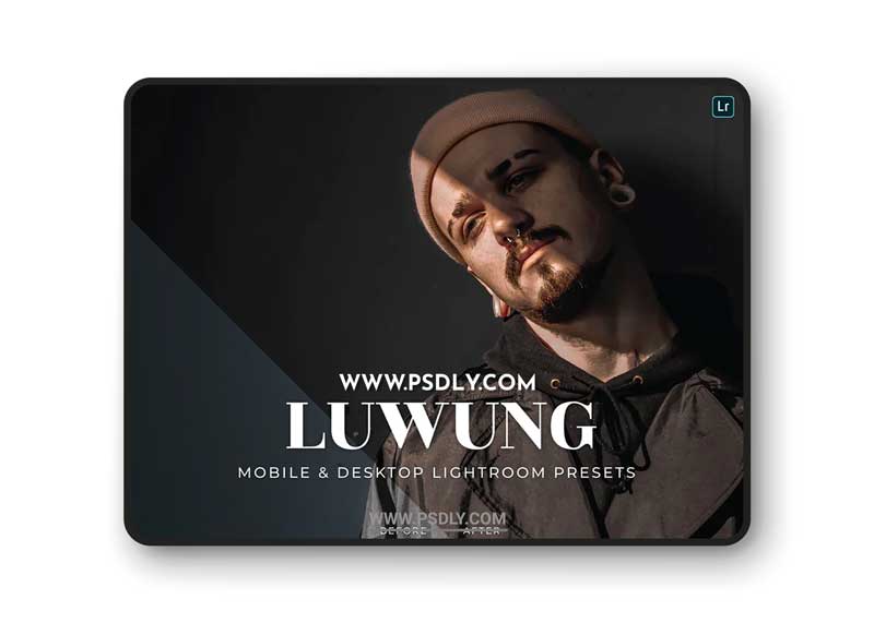 Luwung Mobile and Desktop Lightroom Presets