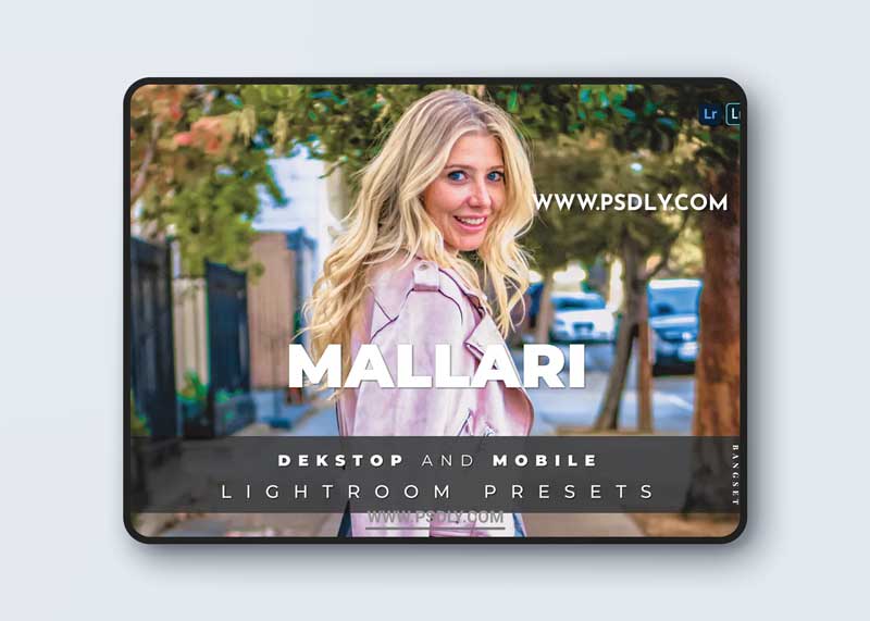 Mallari Desktop and Mobile Lightroom Preset