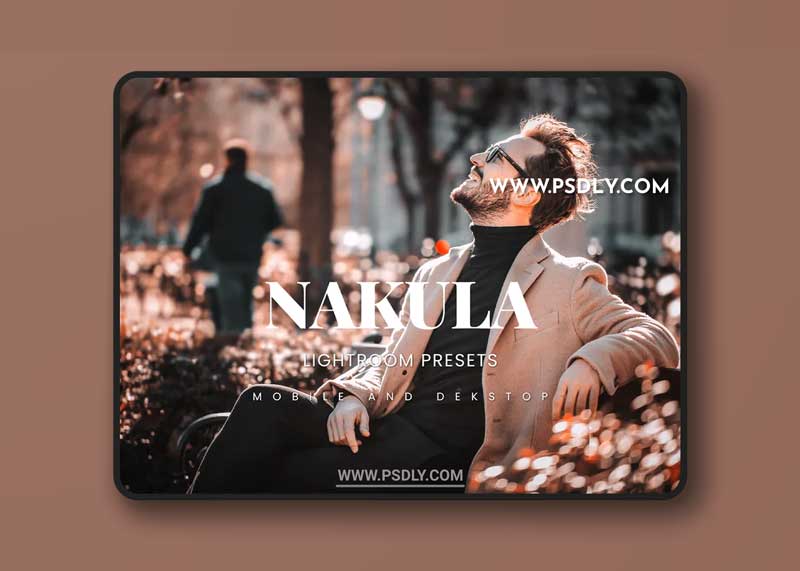Nakula Lightroom Presets Dekstop and Mobile