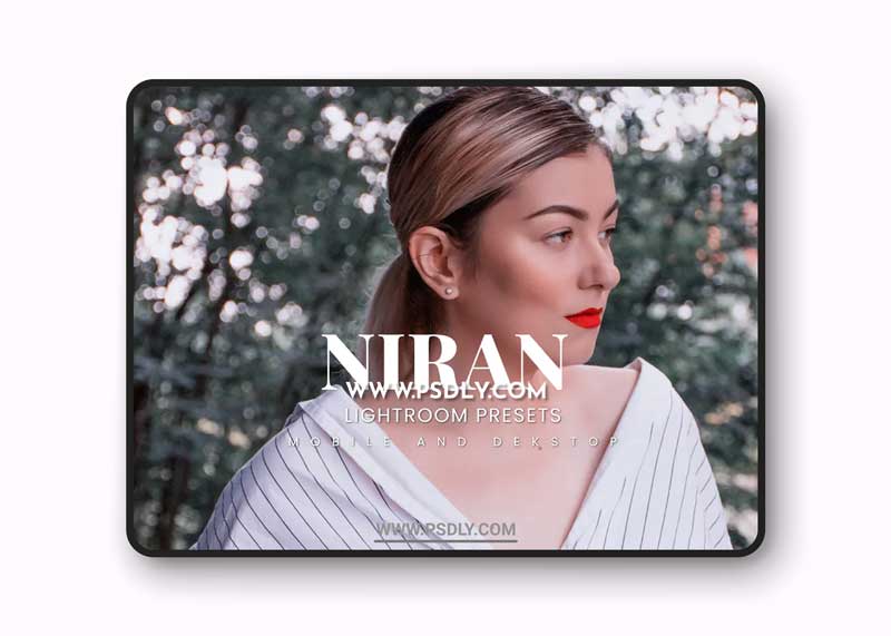 Niran Romance Lightroom Presets Dekstop and Mobile