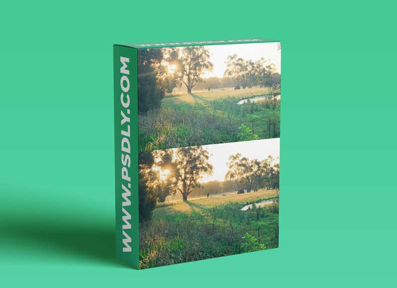 One Reference. Four Artworks. How to create a Series