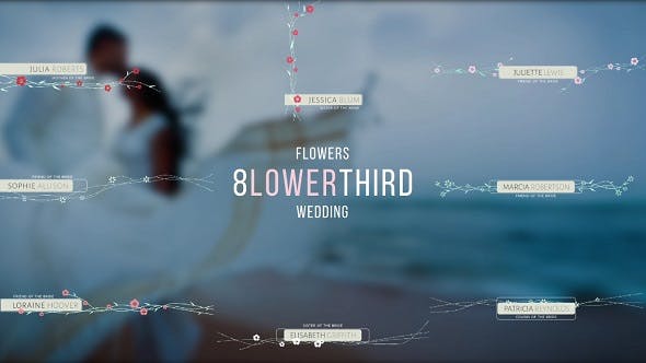 Videohive Wedding Titles Lower Third 17946384