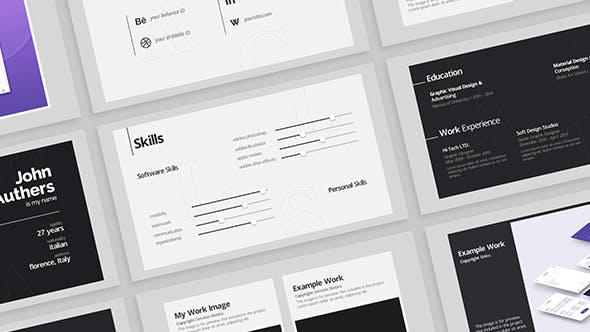 Videohive Portfolio - Resume 21411876