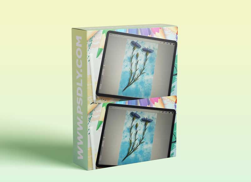 Sketching and Doodling Fun with Cornflowers in Procreate