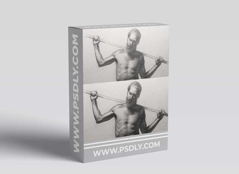 Stephen Bauman - Figure Drawing In Graphite