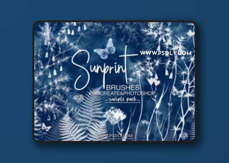Sunprint - Procreate & Photoshop Brushes