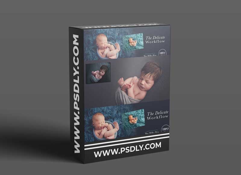 The Milky Way - The Delicate Workflow