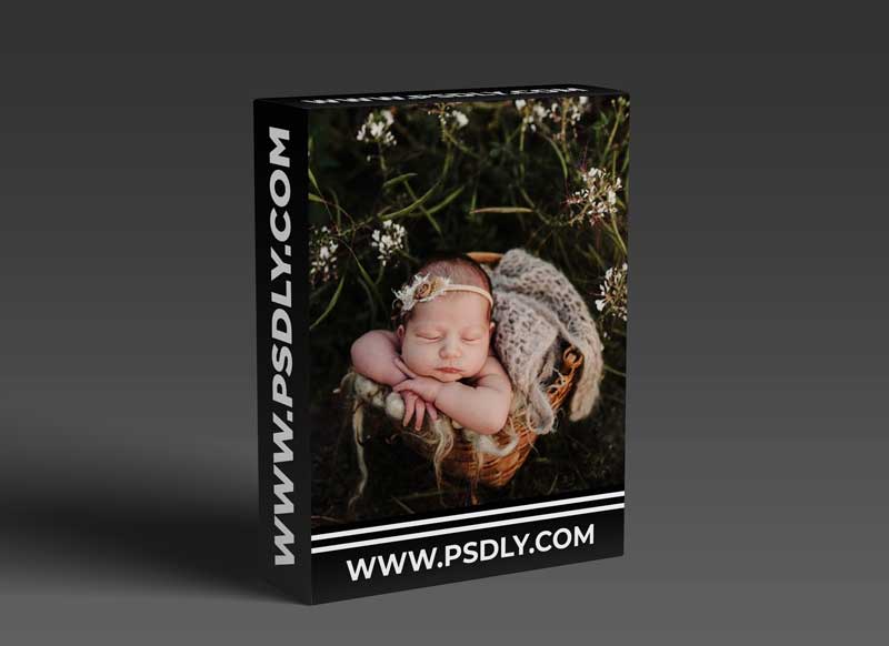 Twig & Olive Photography - Newborn Prop Shopping | Feature