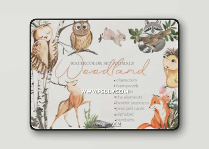 Woodland Animal Watercolor 14151710