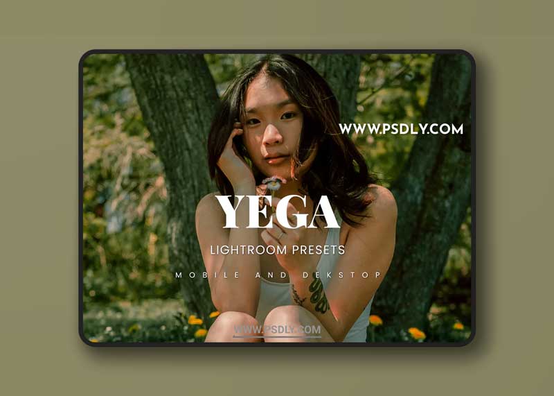 Yega Lightroom Presets Dekstop and Mobile