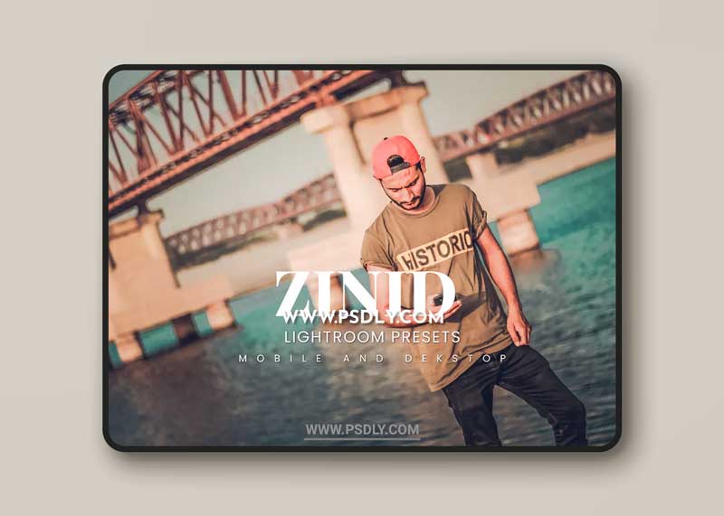 Zinid Lightroom Presets Dekstop and Mobile