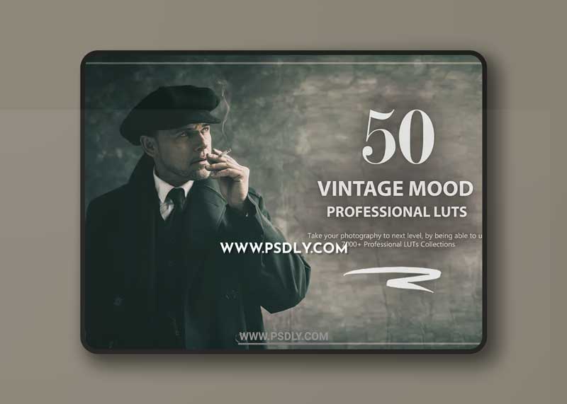 50 Vintage Mood LUTs and Prsets Pack