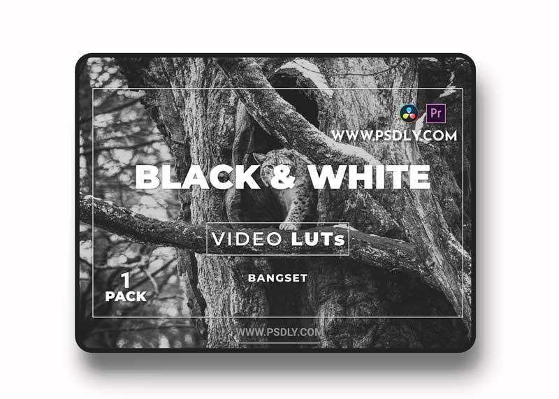 Bangset Black & White Pack 1 Video LUTs