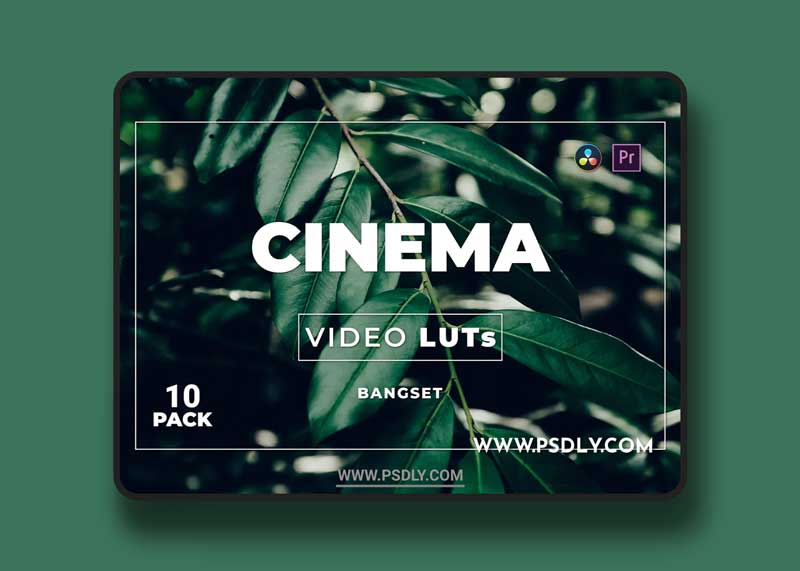 Bangset Cinema Pack 10 Video LUTs