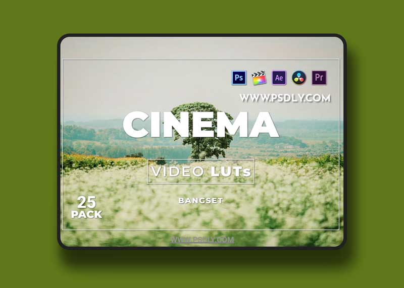 Bangset Cinema Pack 25 Video LUTs
