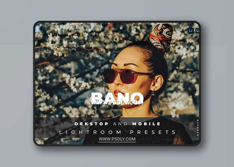 Bano Desktop and Mobile Lightroom Preset