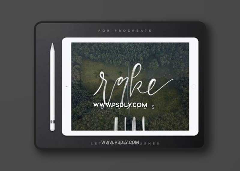 CM - Rake / Flat Comb Brush Set 1843540