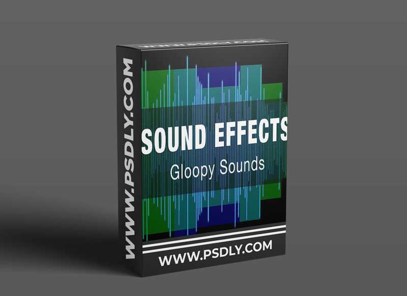Cinema Spice Gloopy Sounds WAV