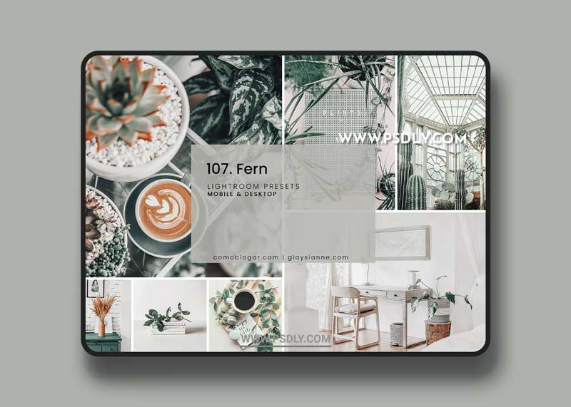 CreativeMarket - 107. Fern Presets 5741108