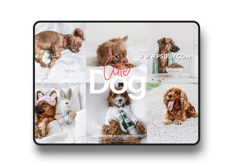 CreativeMarket - Lightroom Preset-Cute Dog Theme 4972692
