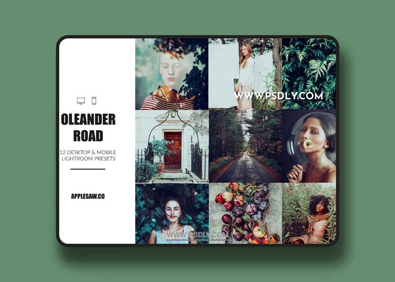 CreativeMarket - Oleander Road Lightroom Presets 5270591