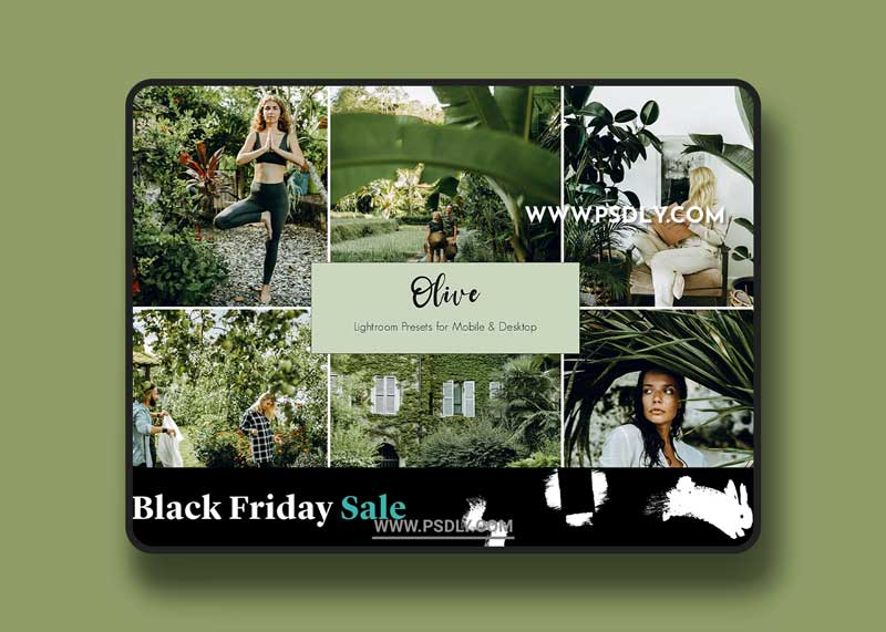 CreativeMarket - Olive Lightroom Presets 5441487