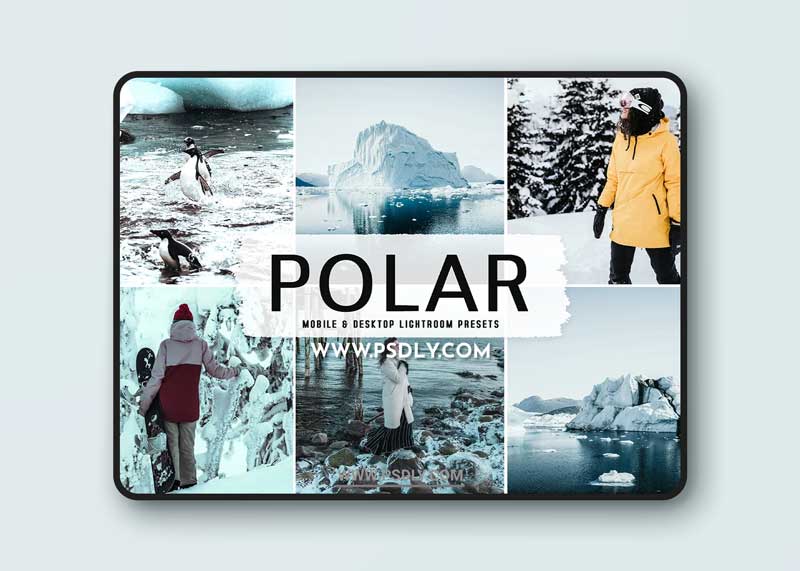 CreativeMarket - Polar Pro Lightroom Presets 6339057