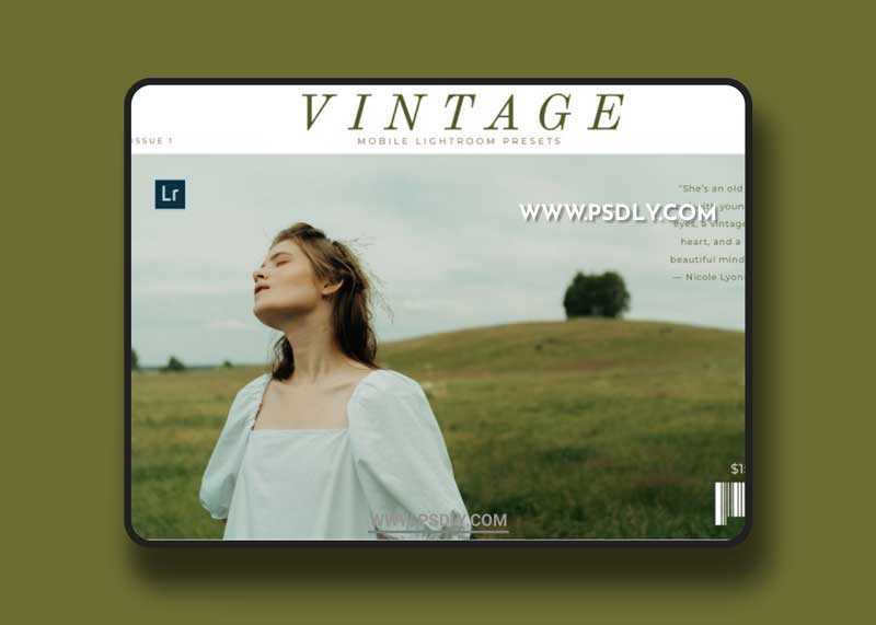 CreativeMarket - Vintage Mobile Lightroom Presets 5496312