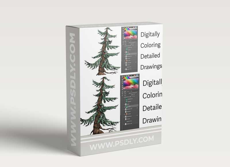 Digitally Coloring Detailed Illustrations: From Sketch to Print or Web