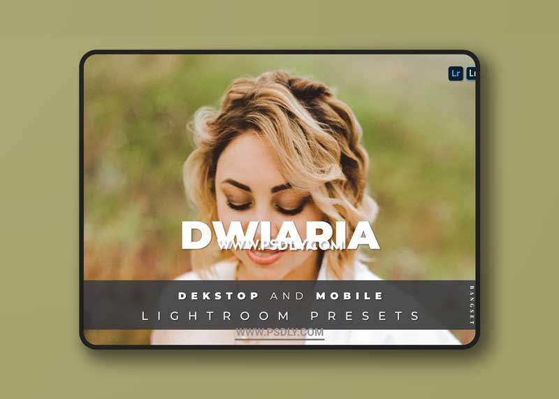 Dwiaria Desktop and Mobile Lightroom Preset