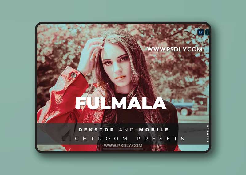 Fulmala Desktop and Mobile Lightroom Preset