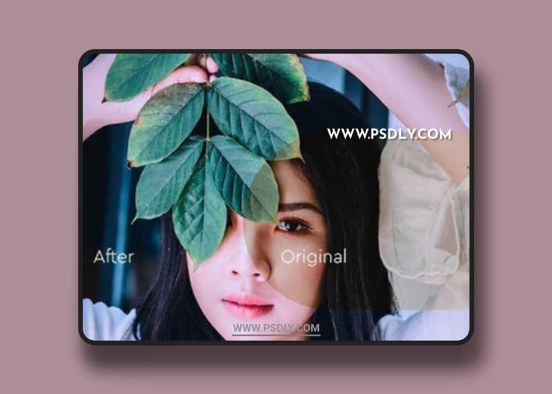 GraphicRiver - 25 Instra Portrait Preset 23982308