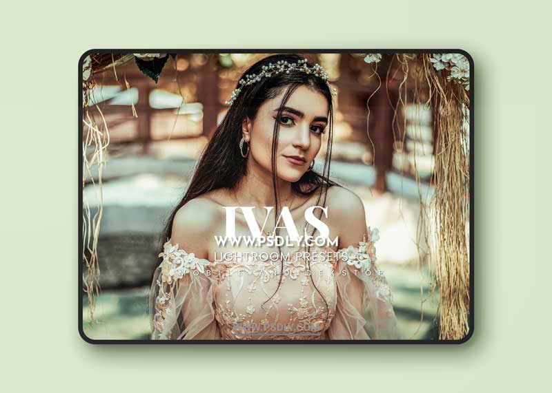 Ivas Lightroom Presets Dekstop and Mobile 5W5KMLK