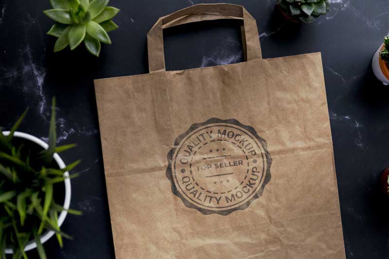 Kraft paper bag with logo mockup and plants EKYHB9S