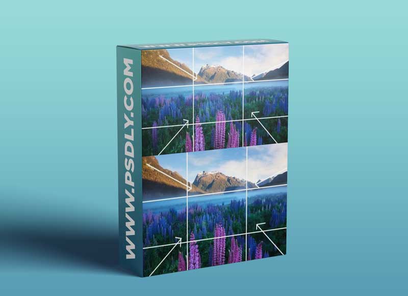 Landscape Photography Tutorials - Into The Light - 'Composition Episode'