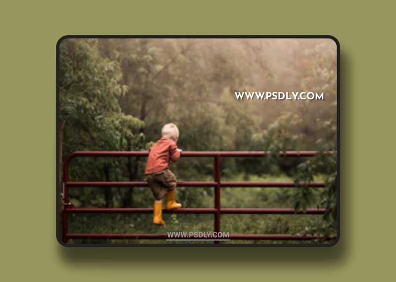 Meridian - LLFx - Meg Loeks - Creative Fog Presets