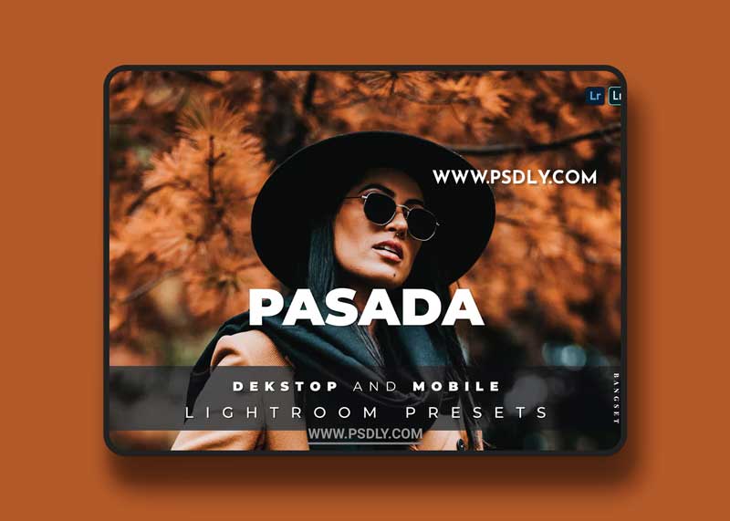 Pasada Desktop and Mobile Lightroom Preset