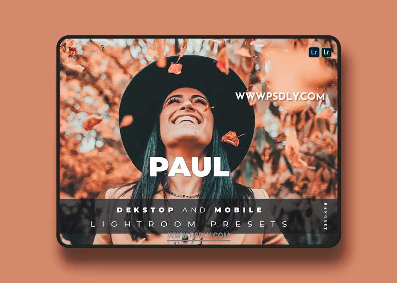 Paul Desktop and Mobile Lightroom Preset