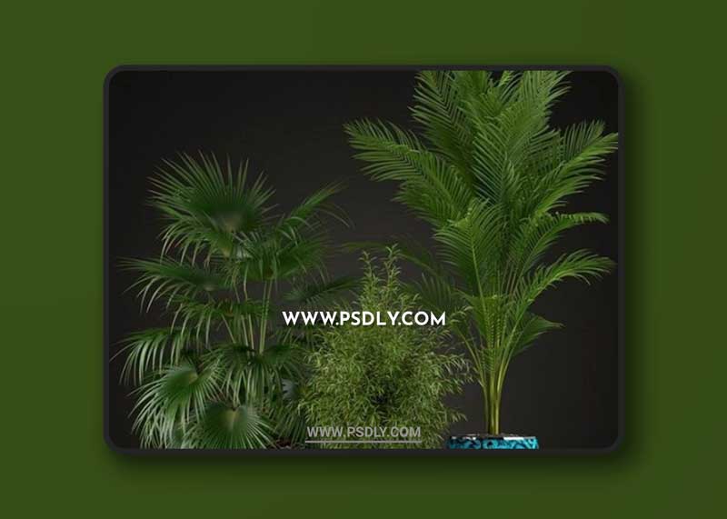 Plants-Collection-199-3D-Model