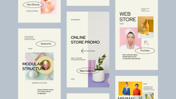 Videohive Online Shopping Store Instagram Stories 33632413