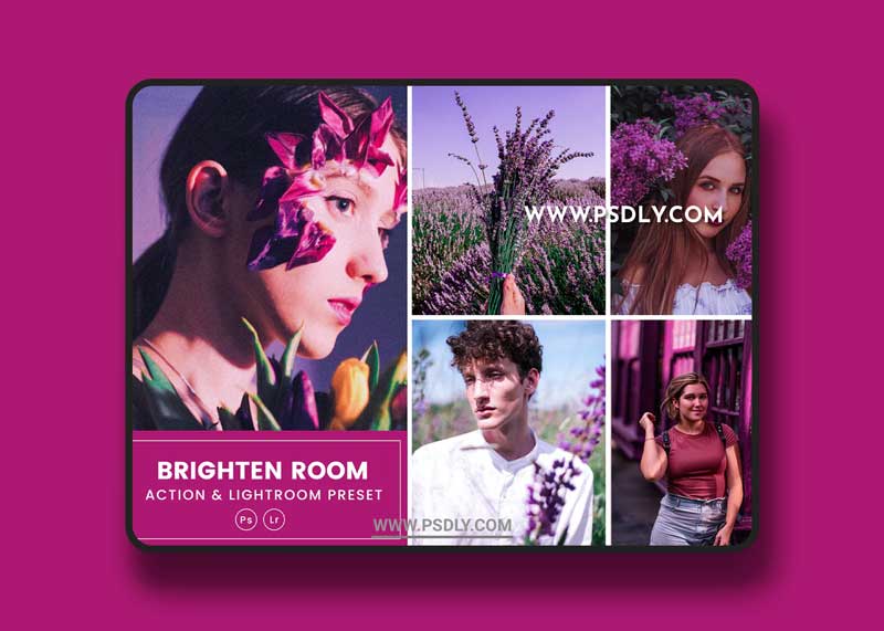 Purple Room Action & Lightrom Presets 8VJKMB6